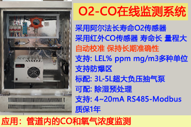 CO一氧化碳和O2氧氣在線監(jiān)測(cè)系統(tǒng)-抗腐蝕、耐用、支持自動(dòng)標(biāo)定